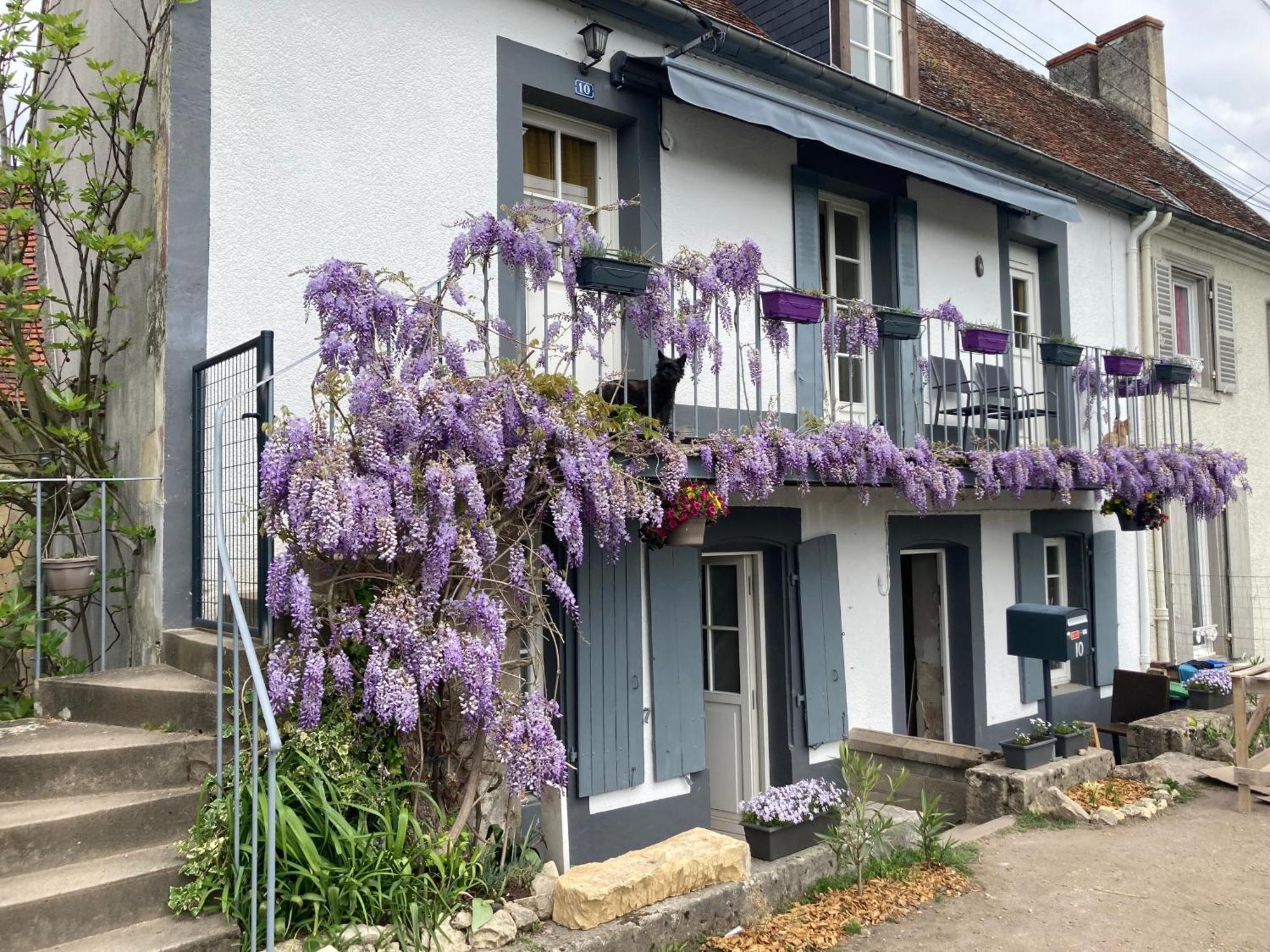 Le Lodge De Serenite Cuffy Екстериор снимка