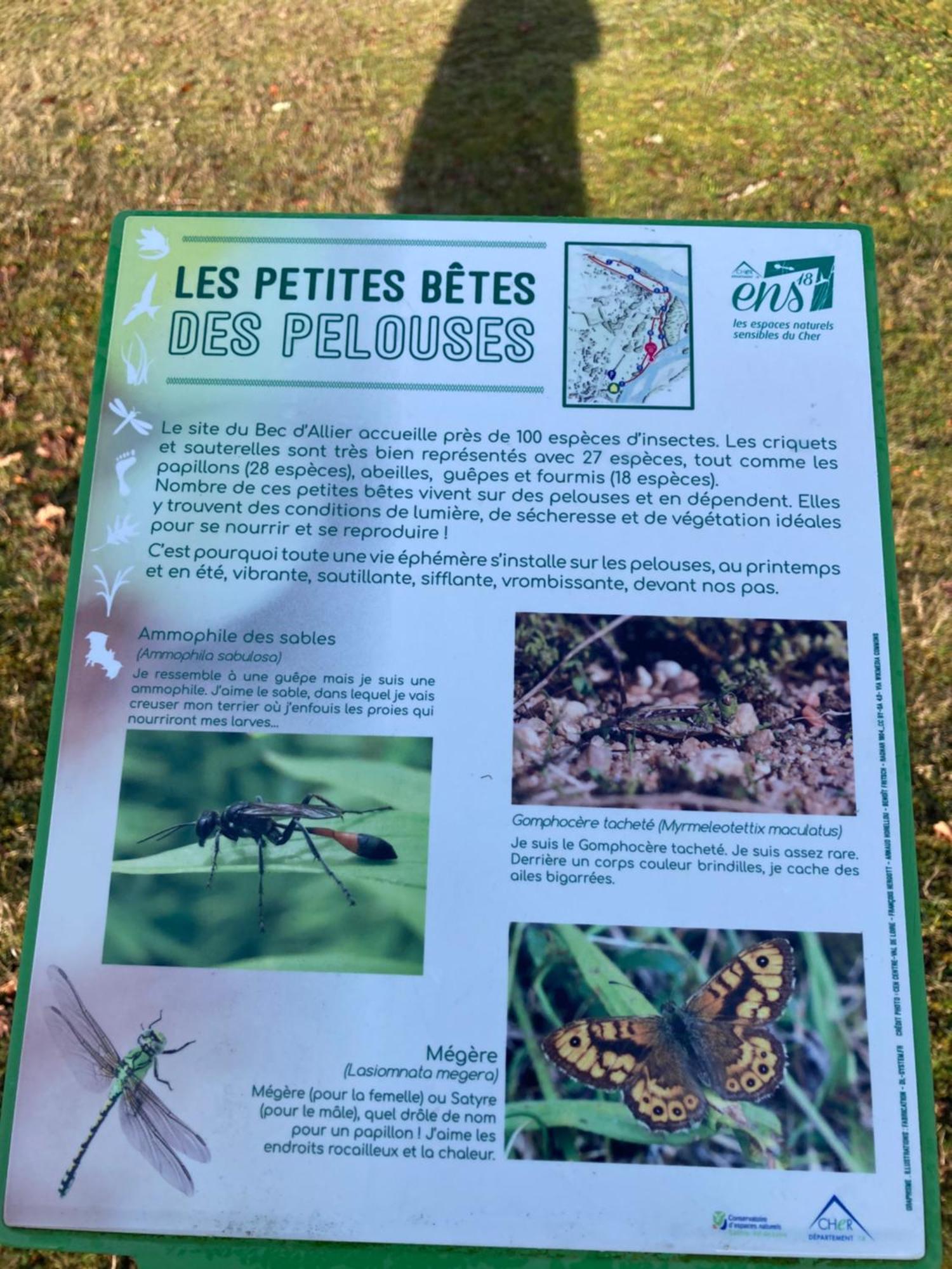 Le Lodge De Serenite Cuffy Екстериор снимка